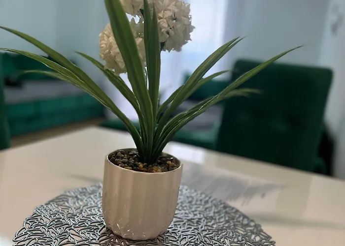 Апартаменты Panorama *